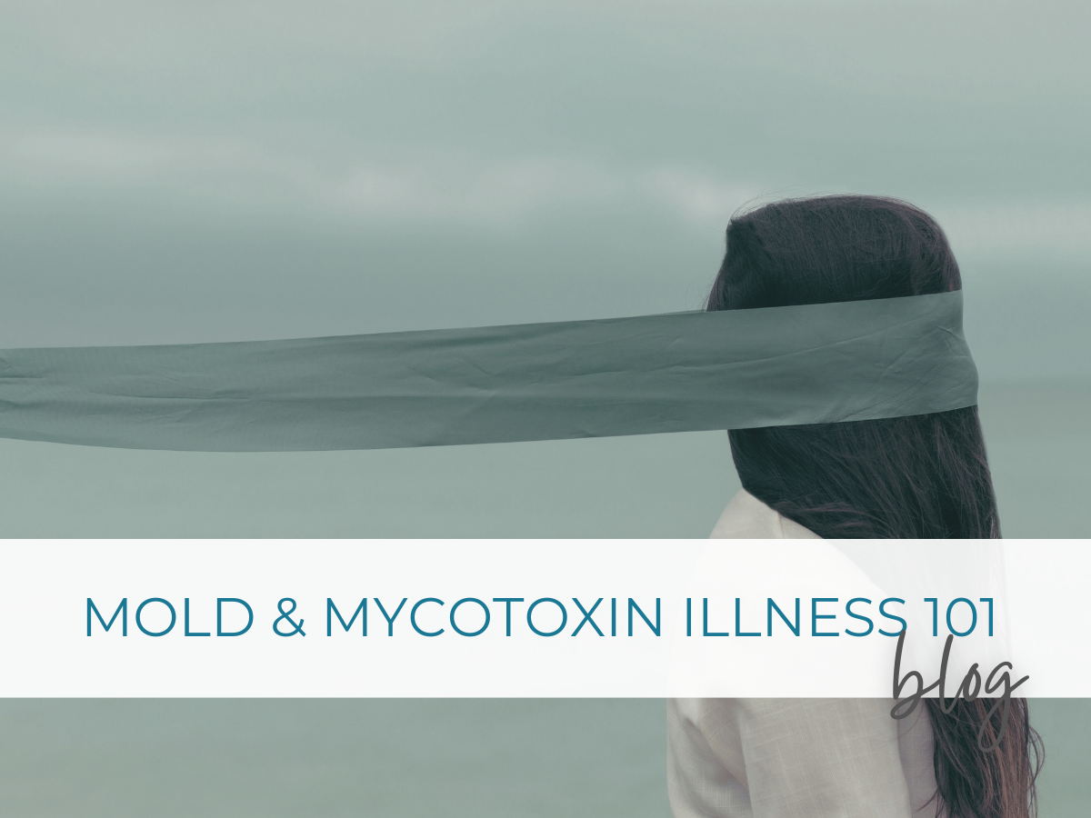 Mold & Mycotoxin Illness 101